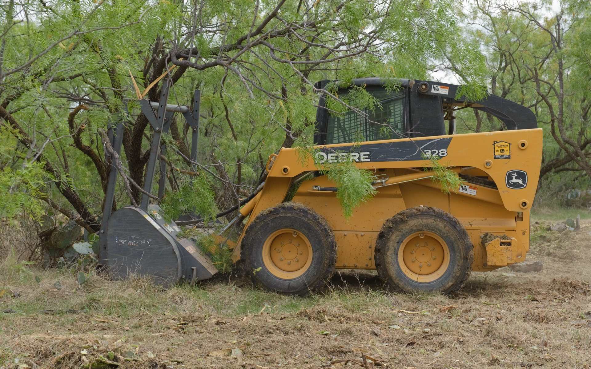 A skid steer with a brush-mulching head clearing mesquite trees and brush from a field