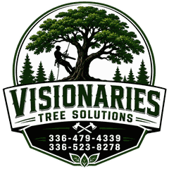 Visionaries Tree Solutions